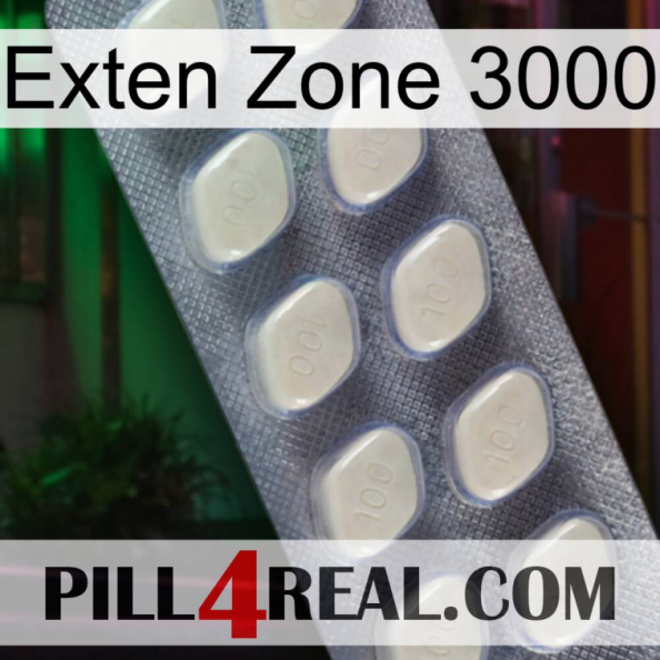 Exten Zone 3000 08.jpg